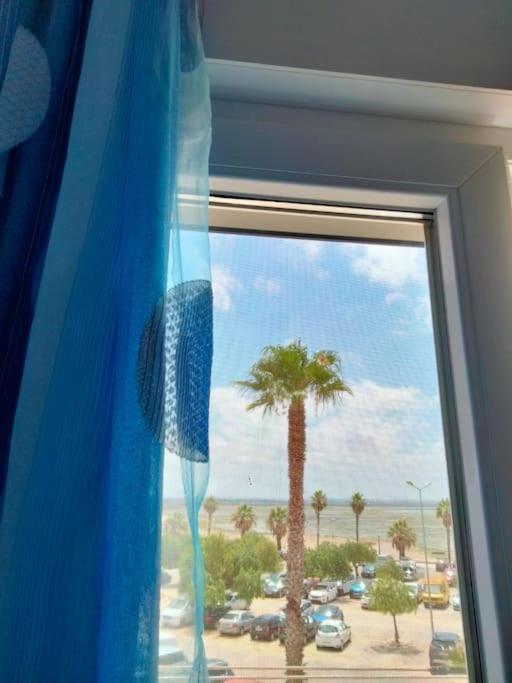 Apartamento Concepcion - Playa De La Cachucha Puerto Real Eksteriør billede